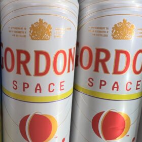 Gordon’s Space